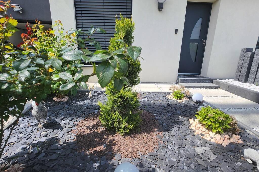 Suite Prestige Logement Neuf Avec Spa Et Ecran De Cinema En Rez De Jardin Colmar Exterior foto